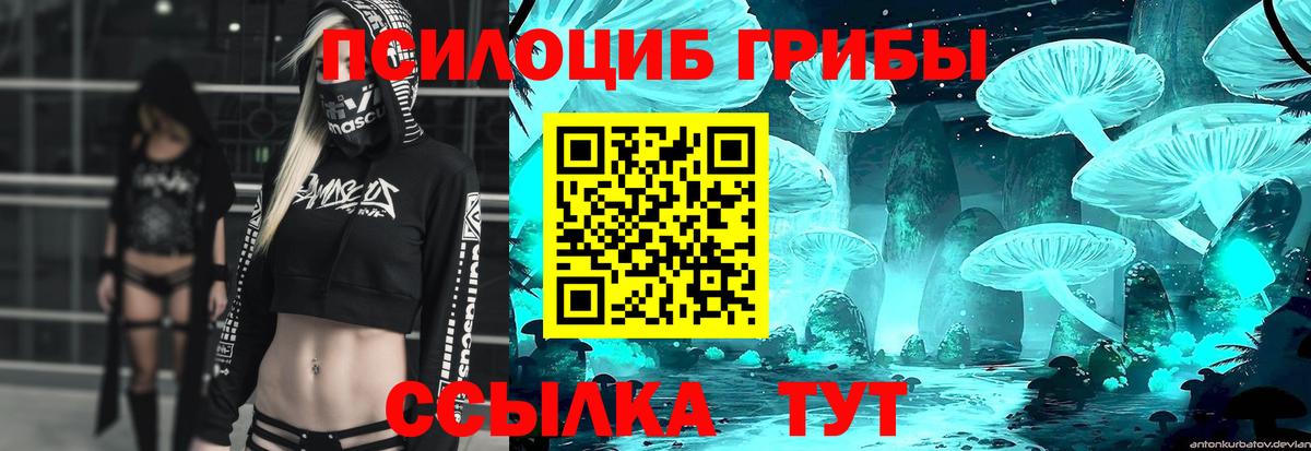 Псилоцибиновые грибы мухоморы Азнакаево